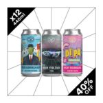 Vocation Big & Bold Bundle Mixed Specials Beer Pack 12 X 440ml