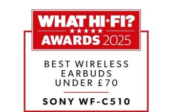 WF-C510 True Wireless Bluetooth In-Ear Headphones with Mic/Remote, Black
