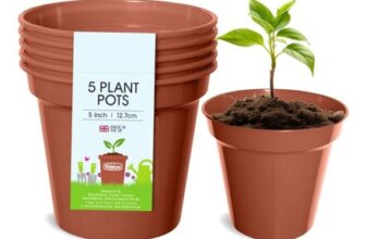 Whitefurze 12.7cm Garden Pot Terracotta Set of 5
