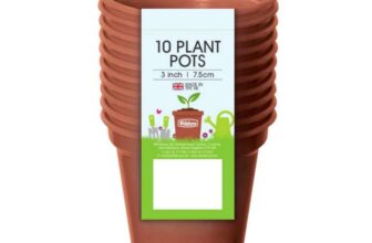 Whitefurze 7.5cm Terracota Pot Set – Set of 10 (instore – Basingstoke)
