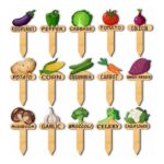 15 Pcs Watercolor Plant Labels, Wooden T-Type Stakes