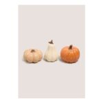 3 Pack Orange Mini Pumpkin Ornaments