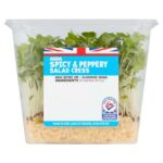 ASDA Spicy & Peppery Salad Cress