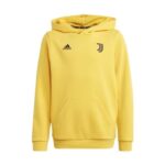 Adidas Juventus Hoodie 24/25 Juniors