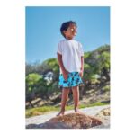 Age 2-3 Younger Boys Blue Monster Truck Swim Shorts