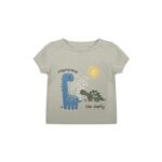 Age 6-9 Mths Baby Boys Mint Cotton Dinosaur Daddy T-Shirt