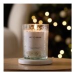 Argo Home Singlewick Candle – Winter Fireplace