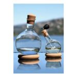 Bodum Vodka & Dry Martini Set