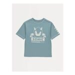 Boys Sonic the Hedgehog Blue Short Sleeve Cotton T-Shirt (6-9, 11-13 Yrs)