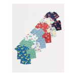 Bright Vehicle Short Pyjamas 7 Pack