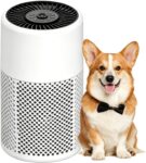 CHIVALZ HEPA Air Purifier for Bedroom,24dB Quiet,White,1Pack3 Modes
