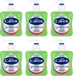 Carex 2 Hour Protection Antibacterial Aloe Vera Hand Wash, Added Natural Moisturisers, Gentle & Protects Hands, Bulk Buy, Pack of 6 x 250ml