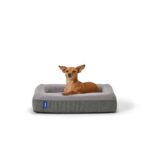 Casper Plush Memory Foam Dog Bed, Large, Gray