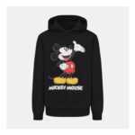 Character Hoody Mens