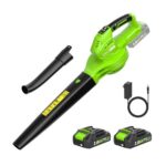 Cordless 20V Leaf Blower with 2x 2.0Ah Batteries