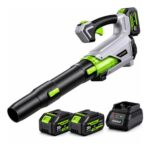 Cordless Leaf Blower 20V, 2×4.0Ah, Fast Charger, 580CFM, Variable Speed