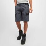 Dickies Mens Everyday Shorts (Members Price)