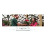 Dobbies in Store Free Planting / Arrangement Service