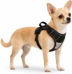 Dog Harness Small Dog, No Pull Dog Harness with Front Clip, Reflective Anti Pull dog harnesses, Magnetic Buckle, No Choke Pet Vest with Skin-Friendly Handle & Breathable Mesh, Black, XS
