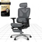 FLEXISPOT ErgoX Executive Mesh Desk Chair with Footrest, Grey – Flexispot FBA
