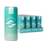 GOODRAYS Elderflower & Yuzu Sparkling CBD Drink
