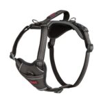 Halti Anatomy Dog Harness with Handle, Size S, Grey