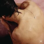 Harry Styles – Gatefold Vinyl Album