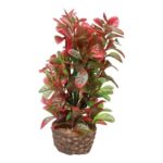 Hobby 51533 Flora Stone 4
