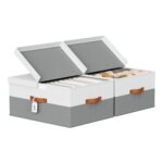 Homsorout Large Fabric Storage Box with Double Lids, Divider 60L