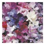 Johnsons Sweet Pea Horizon Mix Flower Seeds