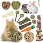 Labeol 27 PCS Rabbit Toys Set for Teeth Care and Exercise, Natural Wooden Treats for Hamster Guinea Pig Rabbit Rat Chinchilla and Gerbils, Boredom Breaker Accessories for Small Animals