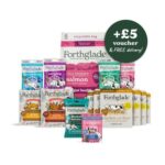 Mega Wellbeing Bundle