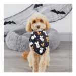 Mickey and His Friends Halloween Pet Bandana