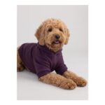 Minimalist Paw Hoodie