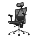 Naspaluro Ergonomic Mesh Office Chair