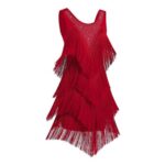 OMEWEE Womens Tassel Latin Dance Dress, Red