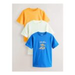 Orange/Lime/Blue Graphic Heavyweight Basic T-Shirts for Women3 Pack