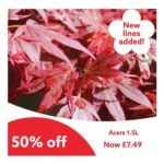 Our Plant Sale is Now On save with 50% off Selected Plants In-Store Only