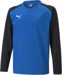 PUMA Unisex Kids Teamliga Training Sweat Jr Sweater (Blue Size 152)