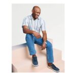Pegasus Short Sleeve Stripe Shirt