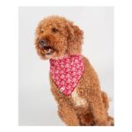 Pet Bandana in Red