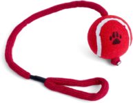 Petface Tennis Ball on a Rope Dog Tug Toy (Pack of 1)