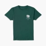 Pokemon Bulbasaur Evo T-Shirt – Green Adult S, M, L, XL, XXL – Sold & Shipped By Zavvi