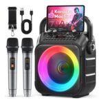 Portable Bluetooth Karaoke Speaker with 2 Wireless Microphones