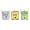 Prices Fresh Air Jar Candles Set of 3