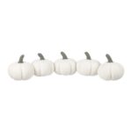 Pumpkin Draught Exclude