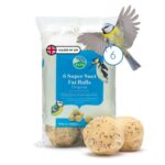 RSPB – Fat Balls, Bird Food for Outside Birds, High Energy Suet Balls, Made in the UK (6 Pack)