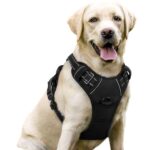 Rabbitgoo Dog Harness Large Dog, No Pull Vest with Front Clip & Handle – Sold by RabbitgooUK / FBA