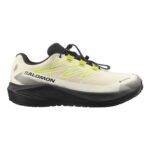 Salomon Aero Flow Gravel GTX Trail Running Shoes Mens