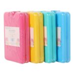 Single Summer Living Slim Ice Block 2 Pack in Assorted Styles